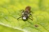 352459 – Photo : Daniel INGREMEAU – France (36)